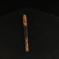 IMG_8550.JPG