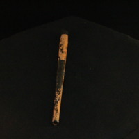 IMG_8552.JPG