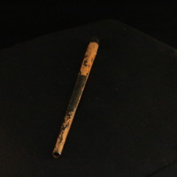 IMG_8554.JPG