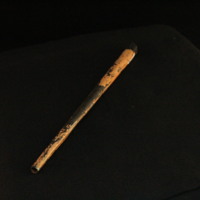 IMG_8556.JPG