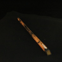 IMG_8583.JPG
