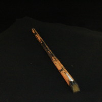 IMG_8584.JPG