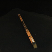 IMG_8586.JPG