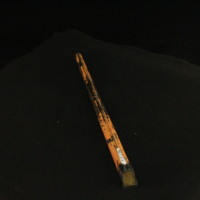 IMG_8587.JPG
