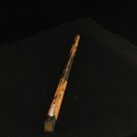 IMG_8594.JPG