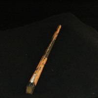 IMG_8595.JPG