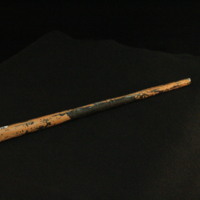 IMG_8603.JPG