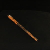 IMG_8621.JPG