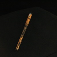 IMG_8631.JPG