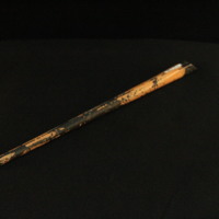 IMG_8636.JPG