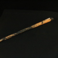 IMG_8637.JPG