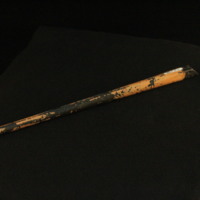 IMG_8639.JPG