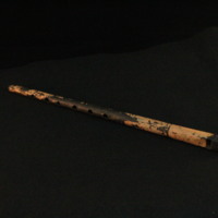 IMG_8653.JPG
