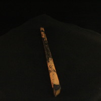 IMG_8662.JPG