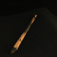 IMG_8669.JPG