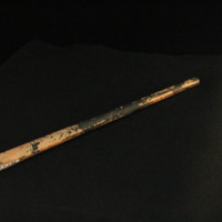 IMG_8675.JPG