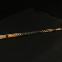 IMG_8683.JPG