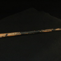 IMG_8684.JPG