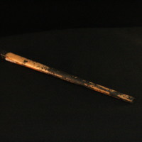 IMG_8692.JPG