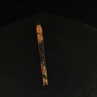 IMG_8703.JPG