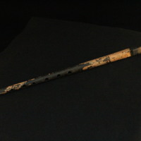 IMG_8715.JPG