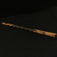IMG_8726.JPG