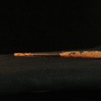 IMG_8762.JPG