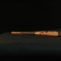 IMG_8763.JPG