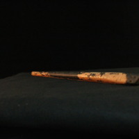 IMG_8764.JPG