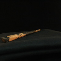 IMG_8779.JPG