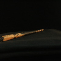 IMG_8780.JPG