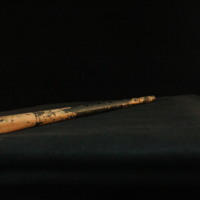 IMG_8781.JPG