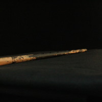 IMG_8783.JPG