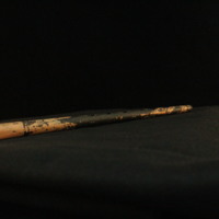 IMG_8784.JPG
