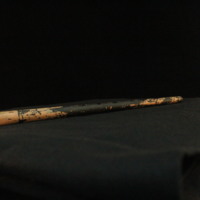 IMG_8786.JPG