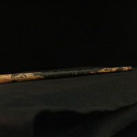 IMG_8789.JPG
