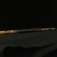 IMG_8790.JPG