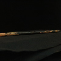 IMG_8791.JPG