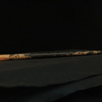 IMG_8792.JPG