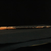 IMG_8794.JPG