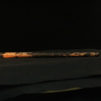 IMG_8795.JPG