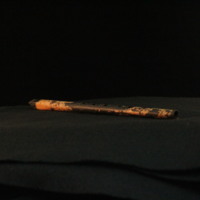 IMG_8798.JPG