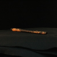 IMG_8799.JPG