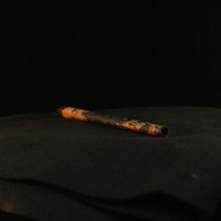 IMG_8801.JPG