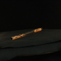 IMG_8809.JPG