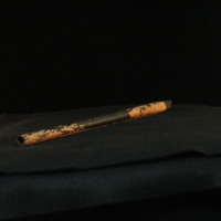 IMG_8811.JPG