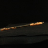 IMG_8813.JPG