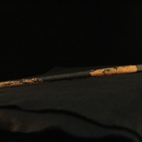 IMG_8816.JPG