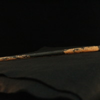 IMG_8817.JPG