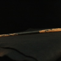 IMG_8818.JPG